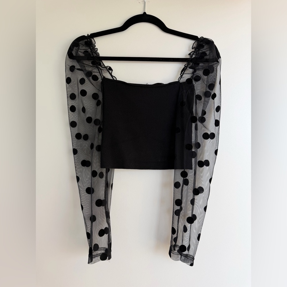 ZARA Polka Dot Mesh Crop Top